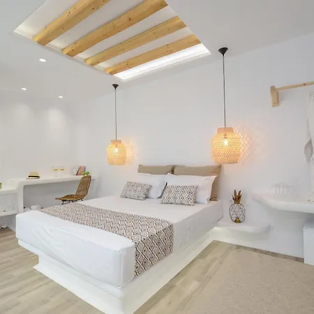Hotel Naxian Spirit *